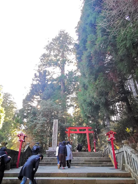 D10: 箱根神社 | 雪山•滑雪•露營•瘋狂玩盡日本 | 旅遊 露營 跑山 跑步 運動 水上活動 | Hidy Chan | hidychan.com