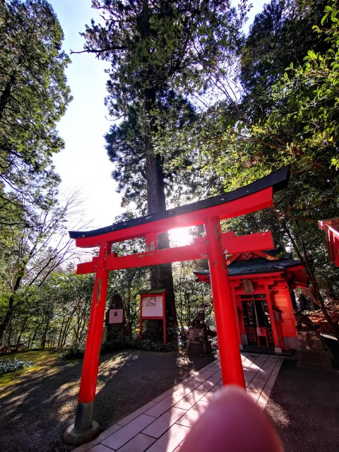 D10: 箱根神社 | 雪山•滑雪•露營•瘋狂玩盡日本 | 旅遊 露營 跑山 跑步 運動 水上活動 | Hidy Chan | hidychan.com