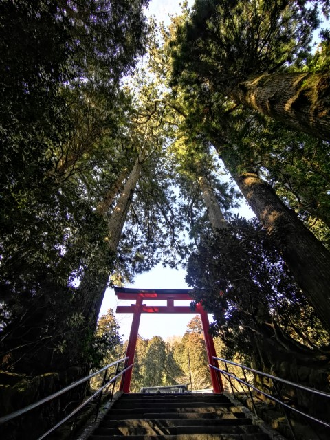 D10: 箱根神社 | 雪山•滑雪•露營•瘋狂玩盡日本 | 旅遊 露營 跑山 跑步 運動 水上活動 | Hidy Chan | hidychan.com