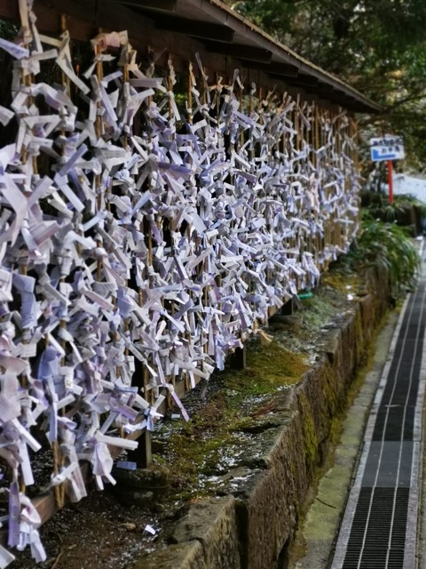 D10: 箱根神社 | 雪山•滑雪•露營•瘋狂玩盡日本 | 旅遊 露營 跑山 跑步 運動 水上活動 | Hidy Chan | hidychan.com