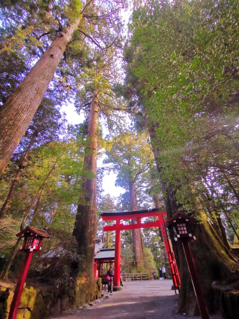 D10: 箱根神社 | 雪山•滑雪•露營•瘋狂玩盡日本 | 旅遊 露營 跑山 跑步 運動 水上活動 | Hidy Chan | hidychan.com