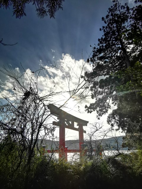 D10: 箱根神社 | 雪山•滑雪•露營•瘋狂玩盡日本 | 旅遊 露營 跑山 跑步 運動 水上活動 | Hidy Chan | hidychan.com