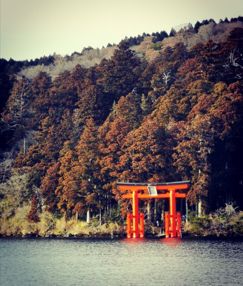 D10: 箱根神社 | 雪山•滑雪•露營•瘋狂玩盡日本 | 旅遊 露營 跑山 跑步 運動 水上活動 | Hidy Chan | hidychan.com