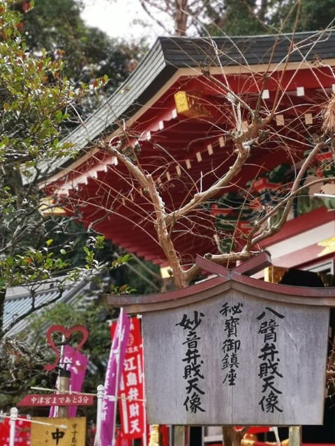 D11: 江之島 | 雪山•滑雪•露營•瘋狂玩盡日本 | 旅遊 露營 跑山 跑步 運動 水上活動 | Hidy Chan | hidychan.com