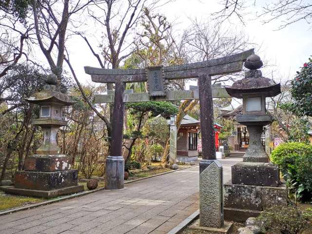 D11: 江之島 | 雪山•滑雪•露營•瘋狂玩盡日本 | 旅遊 露營 跑山 跑步 運動 水上活動 | Hidy Chan | hidychan.com