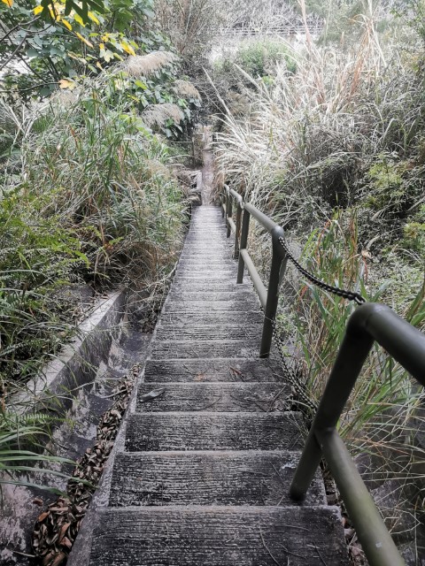  | 劏大魚 | 旅遊 露營 跑山 跑步 運動 水上活動 | Hidy Chan | hidychan.com