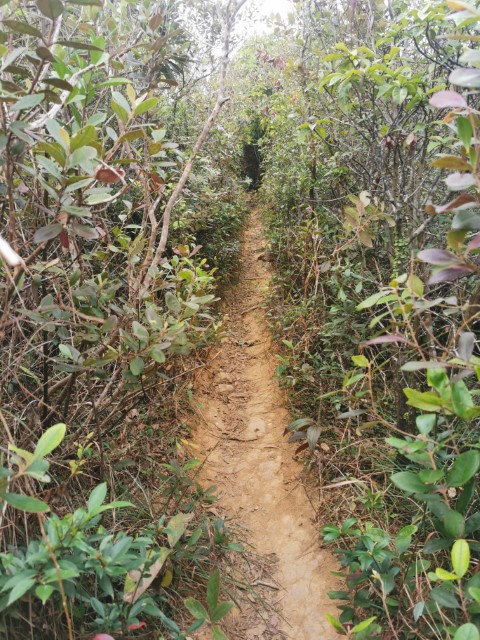  | 劏大魚 | 旅遊 露營 跑山 跑步 運動 水上活動 | Hidy Chan | hidychan.com