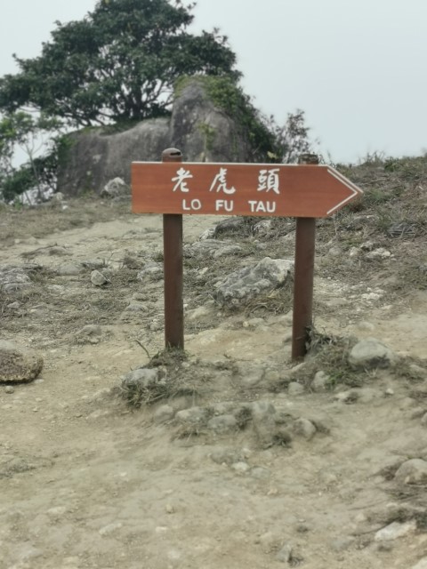  | 劏大魚 | 旅遊 露營 跑山 跑步 運動 水上活動 | Hidy Chan | hidychan.com