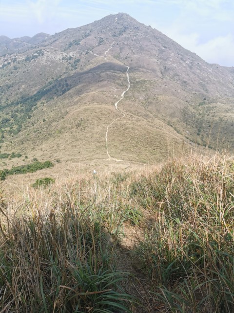  | 劏大魚 | 旅遊 露營 跑山 跑步 運動 水上活動 | Hidy Chan | hidychan.com