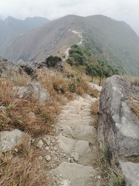  | 劏大魚 | 旅遊 露營 跑山 跑步 運動 水上活動 | Hidy Chan | hidychan.com