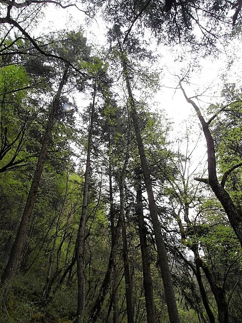 九寨溝 | 西藏之旅 | 旅遊 露營 跑山 跑步 運動 水上活動 | Hidy Chan | hidychan.com