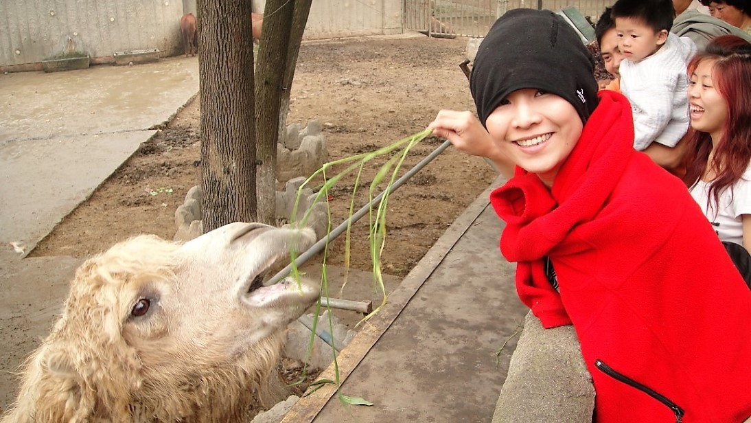 成都動物園 | 西藏之旅 | 旅遊 露營 跑山 跑步 運動 水上活動 | Hidy Chan | hidychan.com