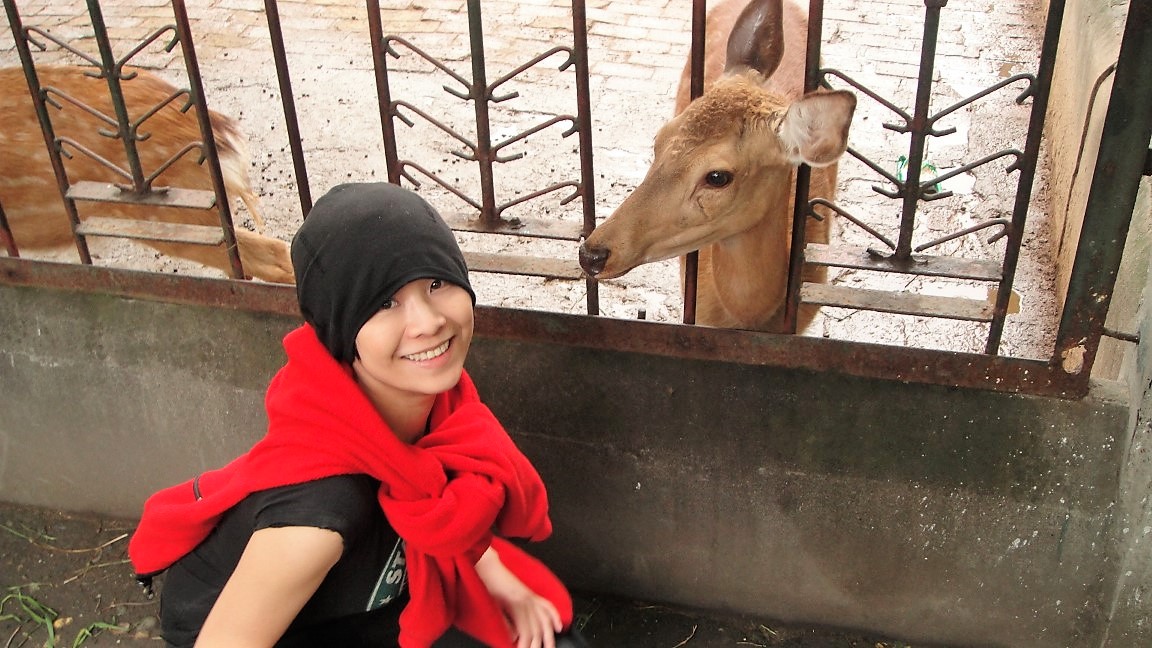 成都動物園 | 西藏之旅 | 旅遊 露營 跑山 跑步 運動 水上活動 | Hidy Chan | hidychan.com