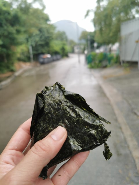  | 鳳徑全走 | hidychan.com