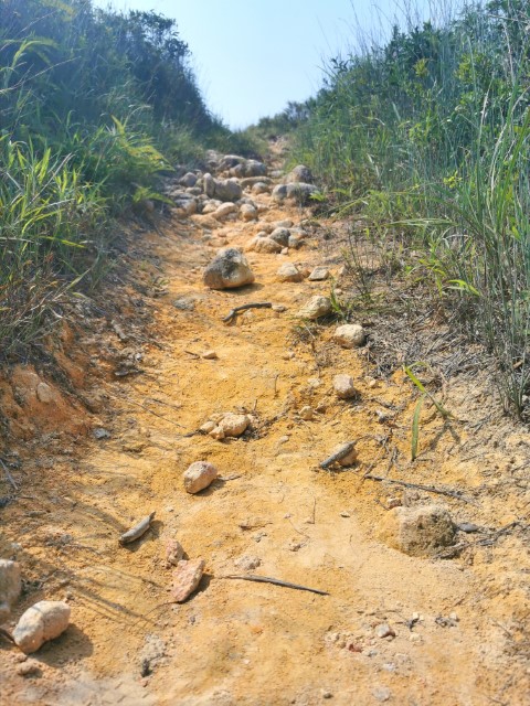 Day 2 | 鳳徑走營 | 旅遊 露營 跑山 跑步 運動 水上活動 | Hidy Chan | hidychan.com