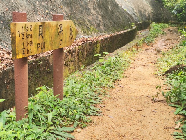 Day 3 | 鳳徑走營 | 旅遊 露營 跑山 跑步 運動 水上活動 | Hidy Chan | hidychan.com