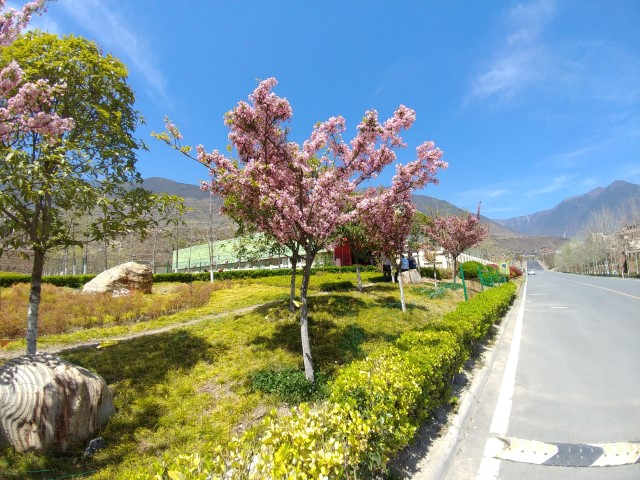 第二日 | 四川露營人在野 | 旅遊 露營 跑山 跑步 運動 水上活動 | Hidy Chan | hidychan.com