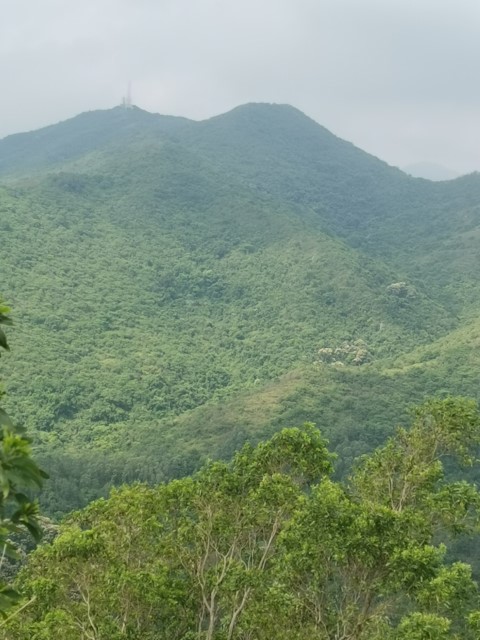 W9-10 17.78km | 衛徑走營 | 旅遊 露營 跑山 跑步 運動 水上活動 | Hidy Chan | hidychan.com