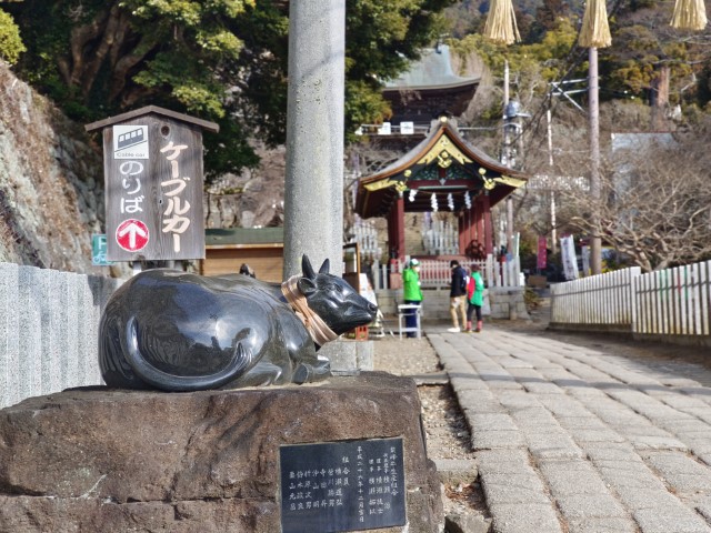 D2: 筑波山 > 橫濱 | 日本赤岳雪山之旅 | 旅遊 露營 跑山 跑步 運動 水上活動 | Hidy Chan | hidychan.com