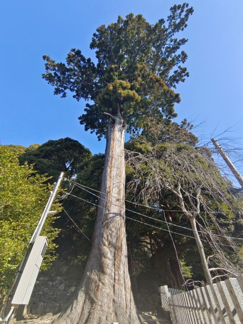 D2: 筑波山 > 橫濱 | 日本赤岳雪山之旅 | 旅遊 露營 跑山 跑步 運動 水上活動 | Hidy Chan | hidychan.com