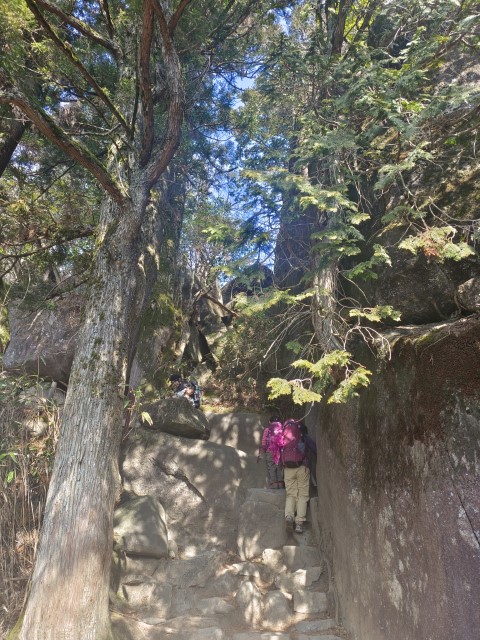 D2: 筑波山 > 橫濱 | 日本赤岳雪山之旅 | 旅遊 露營 跑山 跑步 運動 水上活動 | Hidy Chan | hidychan.com