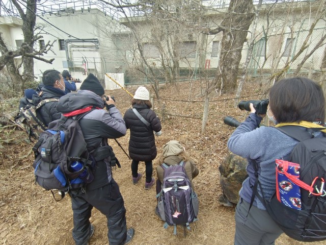 D2: 筑波山 > 橫濱 | 日本赤岳雪山之旅 | 旅遊 露營 跑山 跑步 運動 水上活動 | Hidy Chan | hidychan.com