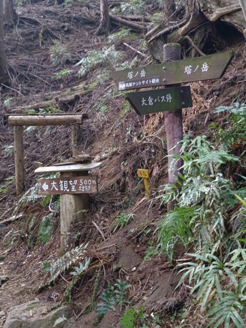 D3: 丹沢山 | 日本赤岳雪山之旅 | 旅遊 露營 跑山 跑步 運動 水上活動 | Hidy Chan | hidychan.com