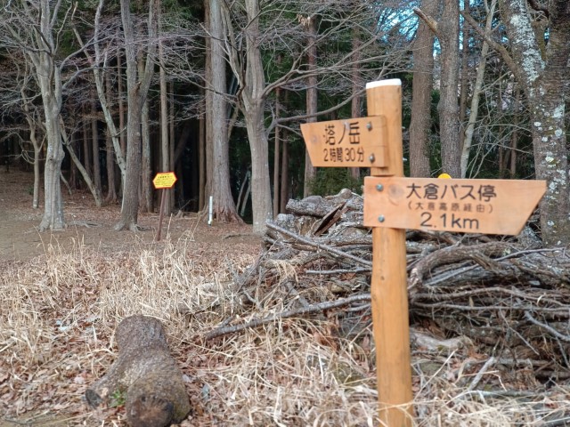 D3: 丹沢山 | 日本赤岳雪山之旅 | 旅遊 露營 跑山 跑步 運動 水上活動 | Hidy Chan | hidychan.com