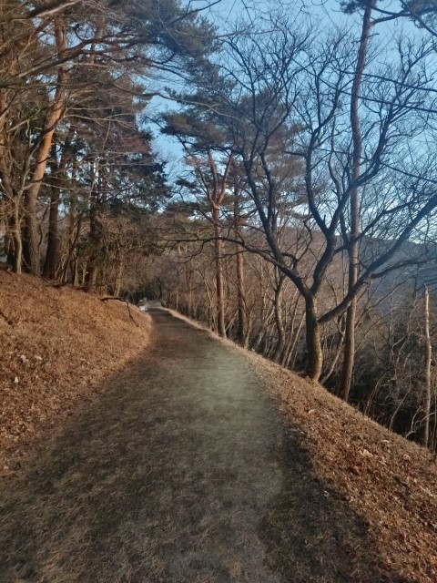 D4: 丹沢山(攻頂) > 富士吉田 | 日本赤岳雪山之旅 | 旅遊 露營 跑山 跑步 運動 水上活動 | Hidy Chan | hidychan.com