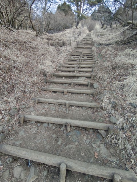 D4: 丹沢山(攻頂) > 富士吉田 | 日本赤岳雪山之旅 | 旅遊 露營 跑山 跑步 運動 水上活動 | Hidy Chan | hidychan.com