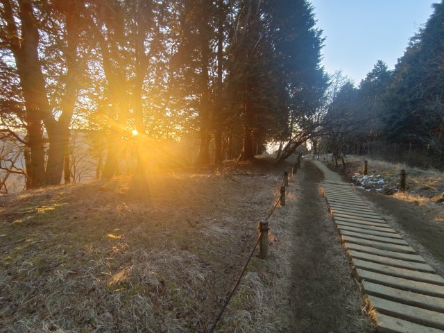 D4: 丹沢山(攻頂) > 富士吉田 | 日本赤岳雪山之旅 | 旅遊 露營 跑山 跑步 運動 水上活動 | Hidy Chan | hidychan.com