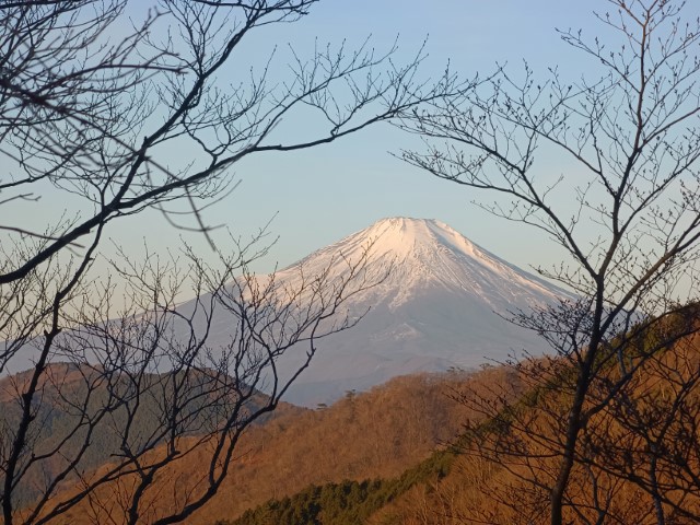 D4: 丹沢山(攻頂) > 富士吉田 | 日本赤岳雪山之旅 | 旅遊 露營 跑山 跑步 運動 水上活動 | Hidy Chan | hidychan.com