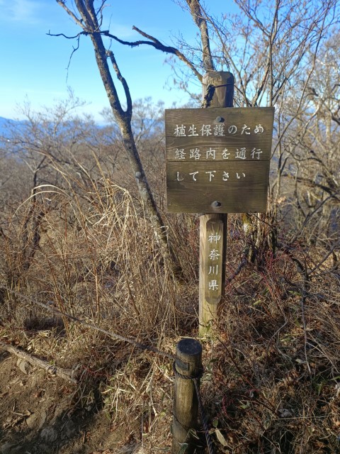 D4: 丹沢山(攻頂) > 富士吉田 | 日本赤岳雪山之旅 | 旅遊 露營 跑山 跑步 運動 水上活動 | Hidy Chan | hidychan.com