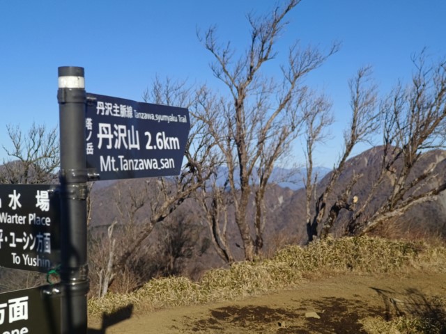 D4: 丹沢山(攻頂) > 富士吉田 | 日本赤岳雪山之旅 | 旅遊 露營 跑山 跑步 運動 水上活動 | Hidy Chan | hidychan.com