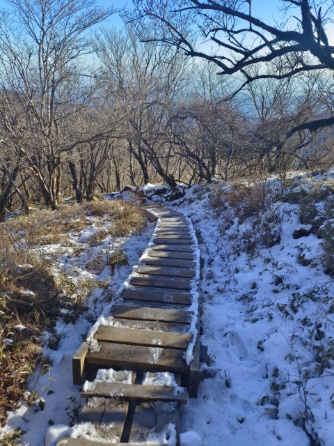 D4: 丹沢山(攻頂) > 富士吉田 | 日本赤岳雪山之旅 | 旅遊 露營 跑山 跑步 運動 水上活動 | Hidy Chan | hidychan.com