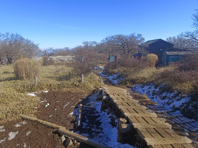 D4: 丹沢山(攻頂) > 富士吉田 | 日本赤岳雪山之旅 | 旅遊 露營 跑山 跑步 運動 水上活動 | Hidy Chan | hidychan.com