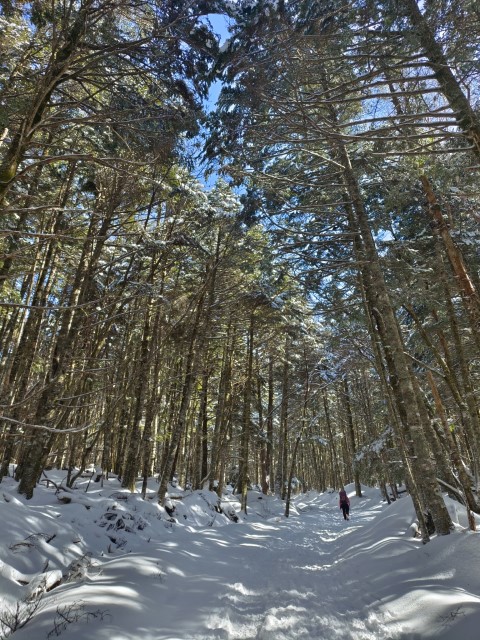 D9: 赤岳鉱泉 > 新宿 | 日本赤岳雪山之旅 | 旅遊 露營 跑山 跑步 運動 水上活動 | Hidy Chan | hidychan.com