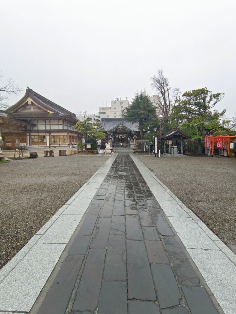 D11: 木更津 > 成田 > 香港 | 日本赤岳雪山之旅 | 旅遊 露營 跑山 跑步 運動 水上活動 | Hidy Chan | hidychan.com