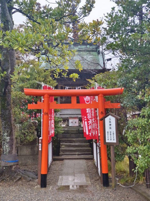 D11: 木更津 > 成田 > 香港 | 日本赤岳雪山之旅 | 旅遊 露營 跑山 跑步 運動 水上活動 | Hidy Chan | hidychan.com