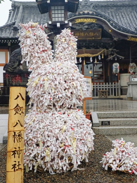 D11: 木更津 > 成田 > 香港 | 日本赤岳雪山之旅 | 旅遊 露營 跑山 跑步 運動 水上活動 | Hidy Chan | hidychan.com