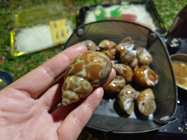 泰安司馬限 | 一個女生台灣四極逆走機車環島遊 | 旅遊 露營 跑山 跑步 運動 水上活動 | Hidy Chan | hidychan.com