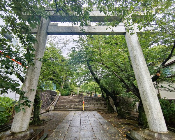 出發去沼津 | 富士山3776+電單車遊 | 旅遊 露營 跑山 跑步 運動 水上活動 | Hidy Chan | hidychan.com