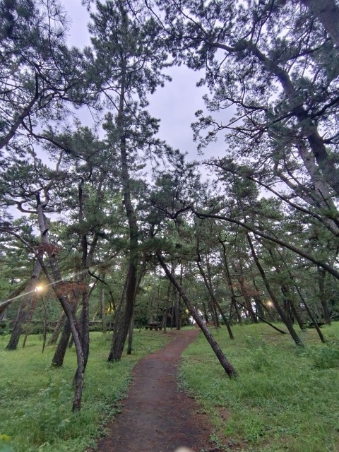 遊沼津 | 富士山3776+電單車遊 | 旅遊 露營 跑山 跑步 運動 水上活動 | Hidy Chan | hidychan.com