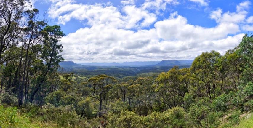 Mudgee | 首次南半球之澳洲電單車露營遊 | 旅遊 露營 跑山 跑步 運動 水上活動 | Hidy Chan | hidychan.com