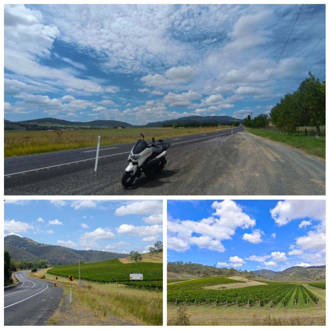 Mudgee | 首次南半球之澳洲電單車露營遊 | 旅遊 露營 跑山 跑步 運動 水上活動 | Hidy Chan | hidychan.com