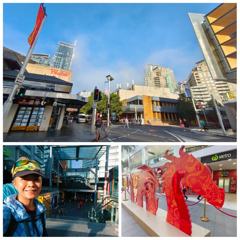 Chatswood | 首次南半球之澳洲電單車露營遊 | 旅遊 露營 跑山 跑步 運動 水上活動 | Hidy Chan | hidychan.com