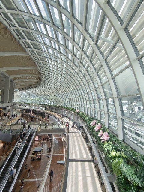 Garden By the Bay | 首次南半球之澳洲電單車露營遊 | 旅遊 露營 跑山 跑步 運動 水上活動 | Hidy Chan | hidychan.com