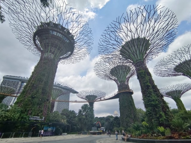 Garden By the Bay | 首次南半球之澳洲電單車露營遊 | 旅遊 露營 跑山 跑步 運動 水上活動 | Hidy Chan | hidychan.com