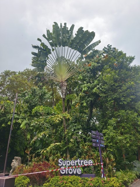 Garden By the Bay | 首次南半球之澳洲電單車露營遊 | 旅遊 露營 跑山 跑步 運動 水上活動 | Hidy Chan | hidychan.com