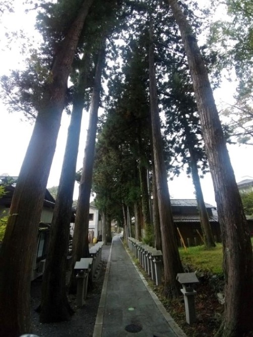 第三日(山中淺間神社) | 第一次一人邁向黑仔露營之旅 | 旅遊 露營 跑山 跑步 運動 水上活動 | Hidy Chan | hidychan.com